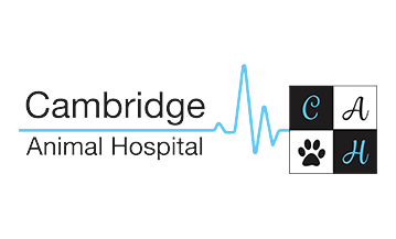 Cambridge Animal Hospital